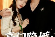 豪门隐婚：冷艳娇妻不好惹