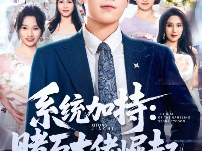 系统加持：赌石大佬崛起