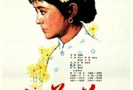 山菊花1982