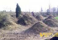 僵尸重生之后寻找千年古墓活女尸当新娘_灵异鬼话