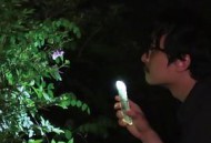 大自然对你说了什么