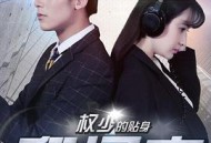 权少的贴身翻译官