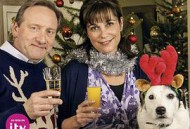 骇人命案事件簿第十六季