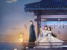 明月入卿怀MP4格式