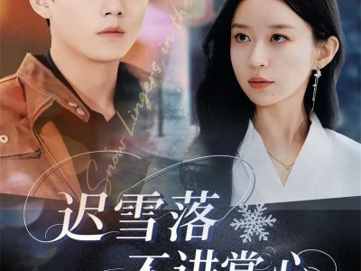 迟雪落不进掌心