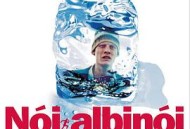 航向热带岛屿的冰山