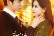 献给霍先生的吻