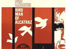 阿尔卡特兹的养鸟人