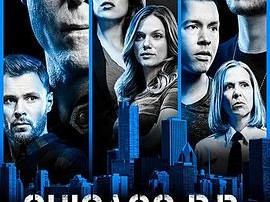 芝加哥警署第六季