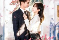 与你共赴繁华盛景