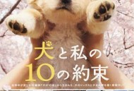 狗狗与我的十个约定