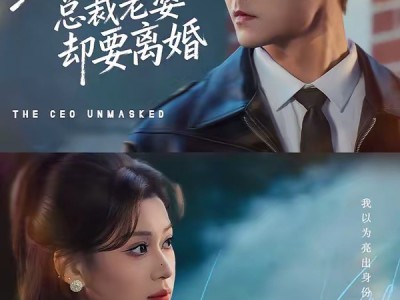 聚会亮出身份，总裁老婆却要离婚