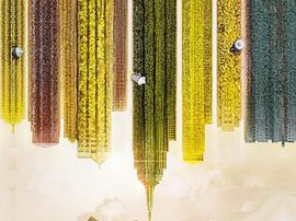 石头开花MP4格式