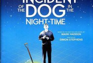 深夜小狗离奇事件