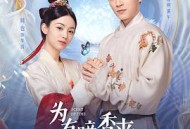 为有暗香来MP4格式