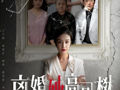 离婚后她高不可攀