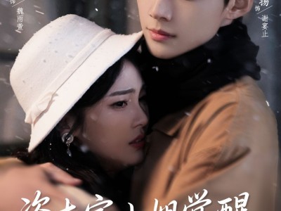 资本家小姐觉醒后揣孕肚追夫