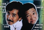 猫头鹰与小飞象