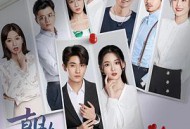 朝九晚六的热恋MP4格式