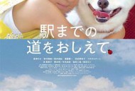 请告诉我去车站的路