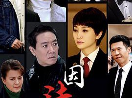 因法之名MP4格式