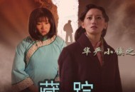 华严小镇2之藏踪