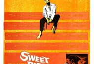 春浓满楼情痴狂