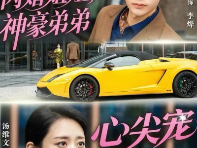 闪婚姐姐，神豪弟弟心尖宠