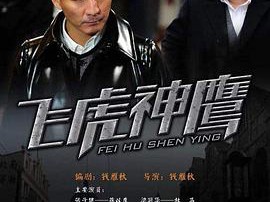 飞虎神鹰MP4格式