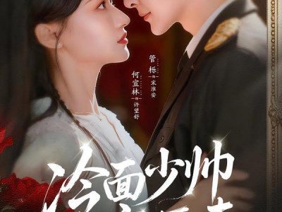 冷面少帅宠医妻