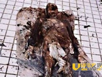 1995年成都僵尸事件大揭秘 僵尸疯狂咬人被火烧？_灵异鬼话