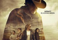 西镇警魂第五季