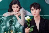 时光不及你温柔