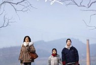 但愿人长久(秦天版)