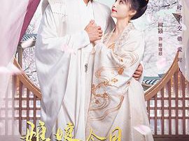 娘娘今日不上朝MP4格式