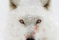 水深火热的星球第一季