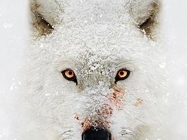 水深火热的星球第一季