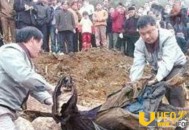 千年古墓挖出女活人：千年不腐会呻吟吓坏考古员_灵异鬼话