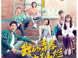 我的青春也灿烂MP4格式