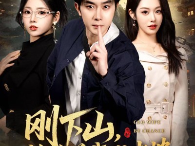 刚下山捡个总裁做老婆