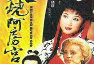 火烧阿房宮1996MP4格式