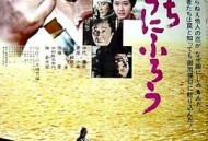 在我冒险的日子