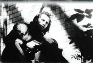 鸥鸟落亡于海港