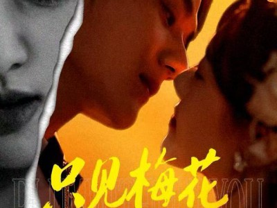 只见梅花不见人