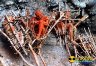 土著部落最恐怖殡葬仪式：火坑熏尸_灵异鬼话