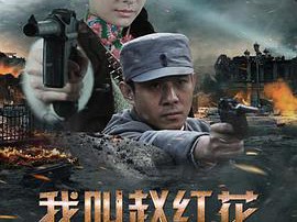 我叫赵红花MP4格式