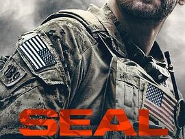 海豹突击队 第二季