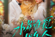 水岸难觅旧年人