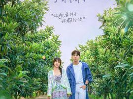 两个人的小森林MP4格式