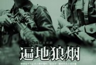 遍地狼烟MP4格式